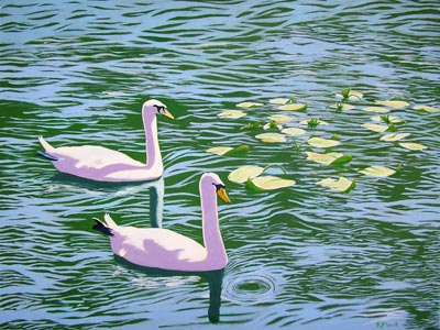 Oil painting from Florida, Sunny Swans