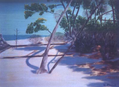 Oil painting from Florida, The Sticks (Silver Key)