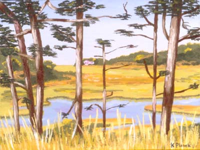 Oil painting from Cape Cod, Truro Back Road