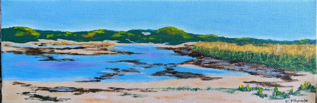 Oil painting from Miniatures, Incoming Tide Pool (Herring Cove)